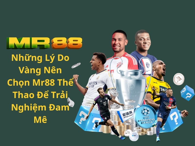 Những Lý Do Vàng Nên Chọn Mr88 Thể Thao Để Trải Nghiệm Đam Mê